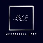 Bice Mergellina Loft * Napoli
