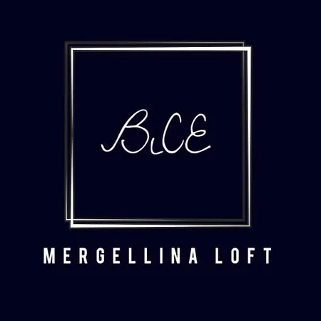 Bice Mergellina Loft * Неаполь